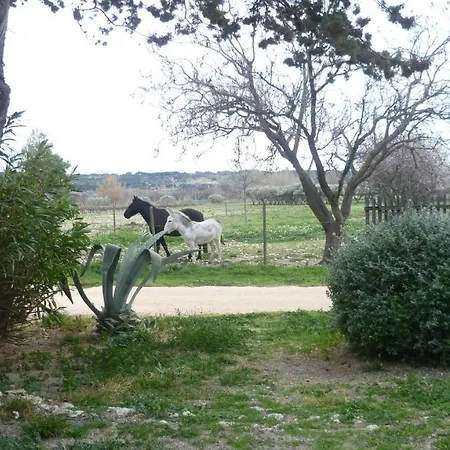 Domaine Les Fenals * 페르피냥